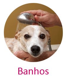 Banhos